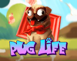 Pug Life